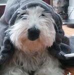 Ciara Gilmore - Facebook