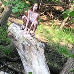 Ciara Hayden - @apartciara - Instagram
