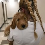 Ciara Lopez - @ciara.ashley.7 - Instagram