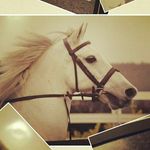 Ciara Miller - @ciara2135 - Instagram