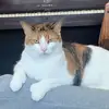 Ciara Morgan - @ciaramorgannn - TikTok