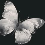 Ciarán Barry - @kieranbarry116 - Instagram