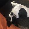 ciaranbarry231 - @ciaranbarry231 - TikTok