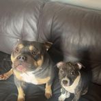 Ciaran Burns - Facebook