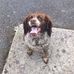 Ciaran Duffy - Facebook