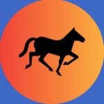 Ciarán Farrell - @horsesofthesunproductions - Instagram