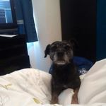 ciaran mckay - @ciaran4757 - Instagram