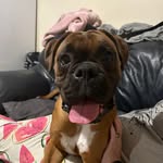 Ciaran Mc Namara - @ciaranmc_namara - Instagram