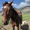 Cierra Anderson - @cierraanderson06 - TikTok