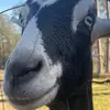 Cierra - @cierraandersonnn - TikTok