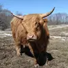 cierradeanRN - @cierradeanrn - TikTok