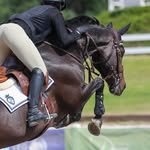 Sierra Warner - @sierra___eq - Instagram