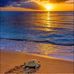 Cilia Jarrell - Facebook