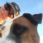 Cindi Anderson - @cindimyth - Instagram