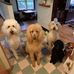Cindy Cross - Facebook
