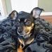 Cindy Marsh - Facebook