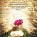 Cyndi Lynn Marsh - Facebook