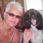 Cindi Taylor Hallett - @cynsueq - Instagram