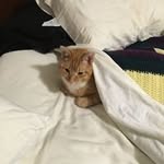 Cyndi Tyler - @cyndi.tyler - Instagram