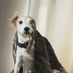 Cindy Acton - @cindy.acton - Instagram