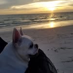 Cindy Adkins Pipes - @cindy.a.pipes - Instagram