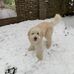 Cindy Allard - Facebook