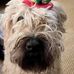 Cindy Allison - Facebook