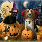 Cindy Allison - @clallis1973 - Instagram