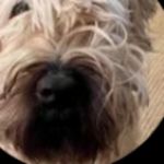 Cindy Allison - @cindyallison8753 - Instagram