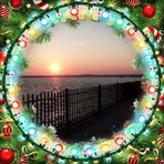 Cynthia Altieri - Facebook