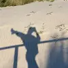 Cindy Almeida Angelo - @cindyalm - TikTok