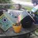 Cindy Arndt - Facebook