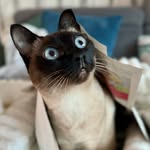 Cindy Arndt - @cindy_a1604 - Instagram