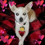 Cindy Arndt - @cindy.arndt.180 - Instagram