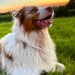 Cindy Arndts - @cindyarndts - Instagram