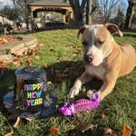 Cindy Baca - @cbaca1023 - Instagram