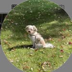 Cindy Barlow - @barlow_cindy1 - Instagram