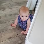 Cindy Hall Barlow - @cindy.h.barlow - Instagram