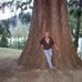 Cindy Barrett - Facebook