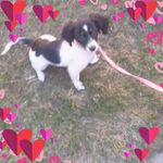 Cindy Barrett - @cindy.barrett.0511 - Instagram