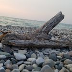 Cindy Barrett - @cindybarrett77 - Instagram