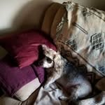 Cindy Barrett Cuneo - @barrettcuneo - Instagram