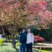 Cindy Basler - Facebook