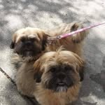 Cindy Bateman - @mia_molly_ - Instagram