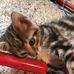 Cindy Bates - Facebook