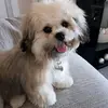 Cindy Bates - @cindybates - TikTok