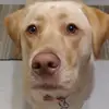 Cindy Bates - @cindy.bates43 - TikTok