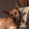 cindy bates - @cindy.bates23 - TikTok