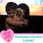Cindy Baugh - @cindykinzalow - Instagram