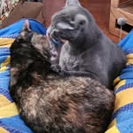 Cindy Baugh Clements - @baughclements - Instagram